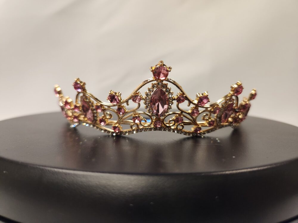 Pretty in Pink Princess