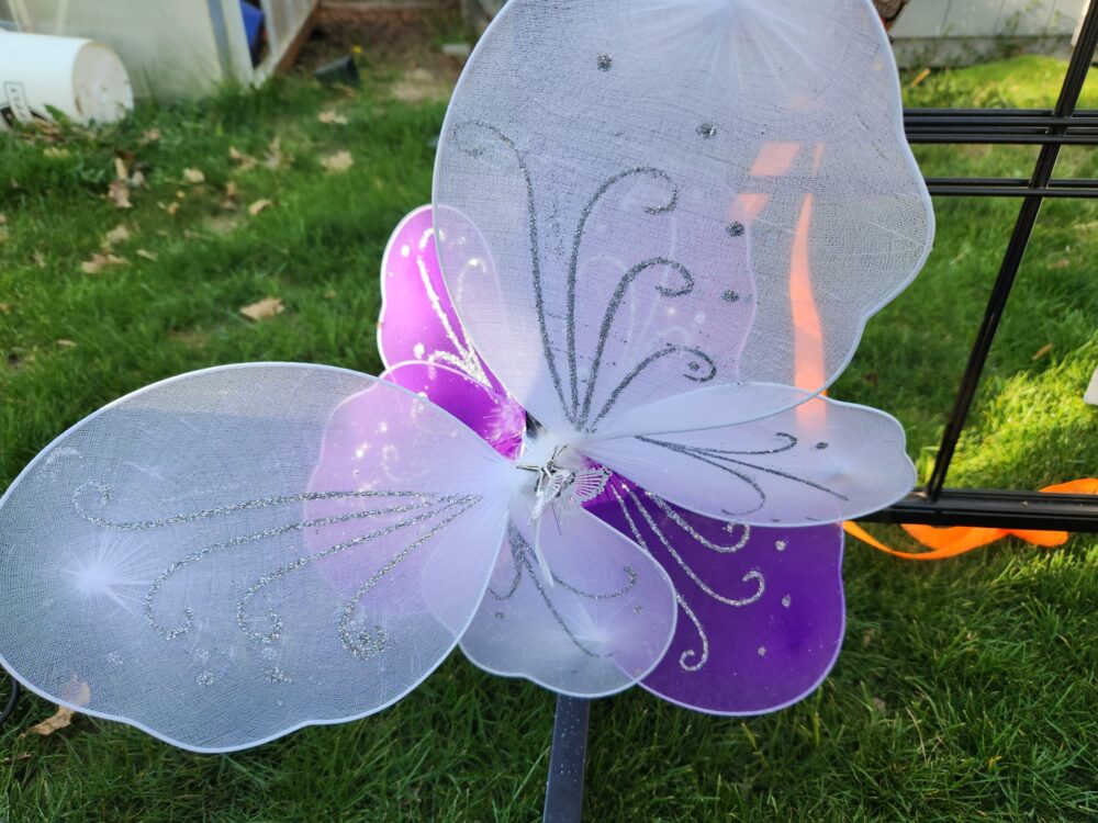 Fairy Wings