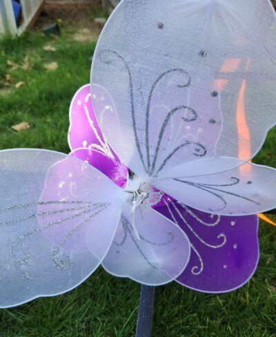 Fairy Wings