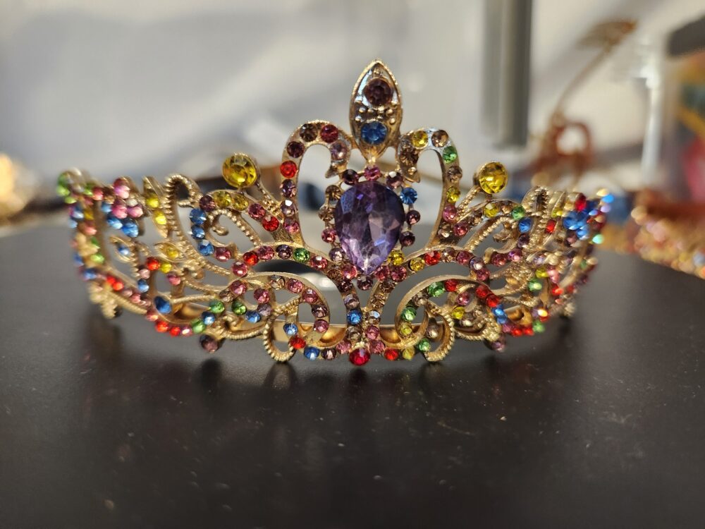 Rainbow Fairy Princess